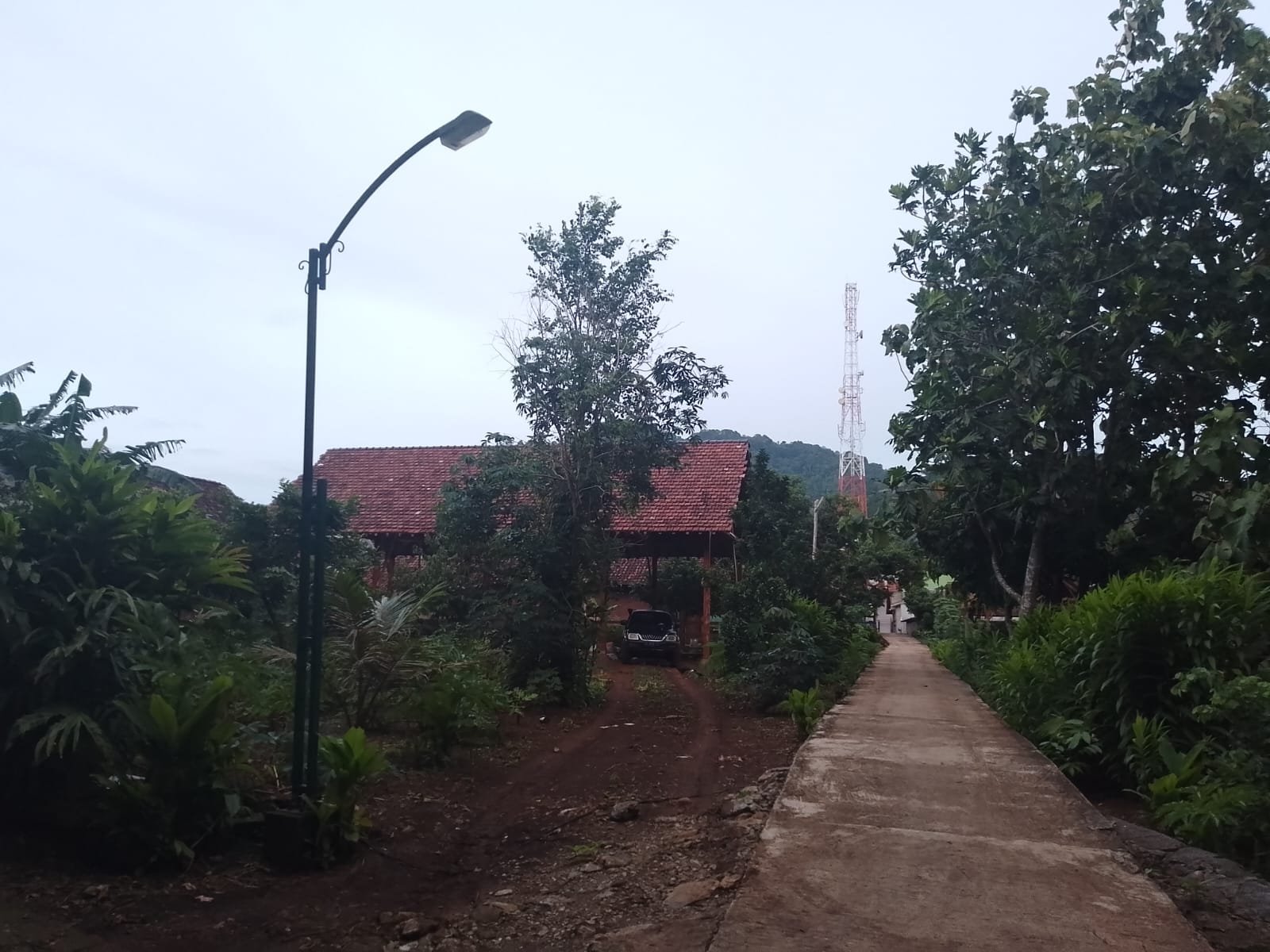 Mendambakan Hidup Slow Living di Desa Bendoasri Rejoso