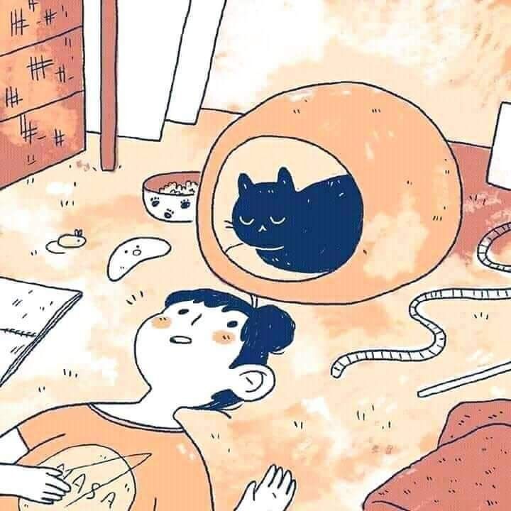 Tetangga Kosan Bawa Kucing Peliharaan, Kotoran dimana-mana Sampai Terbangun Mendengar Suara Kucing Kawin